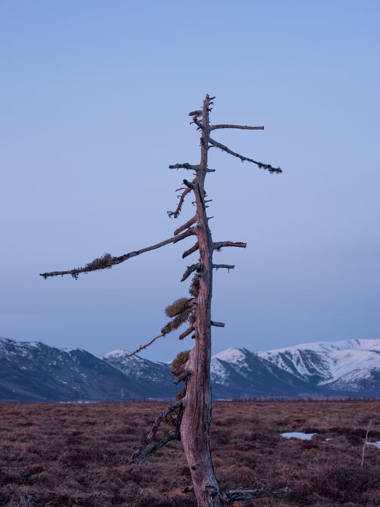 Photograph by Хазан Сергей