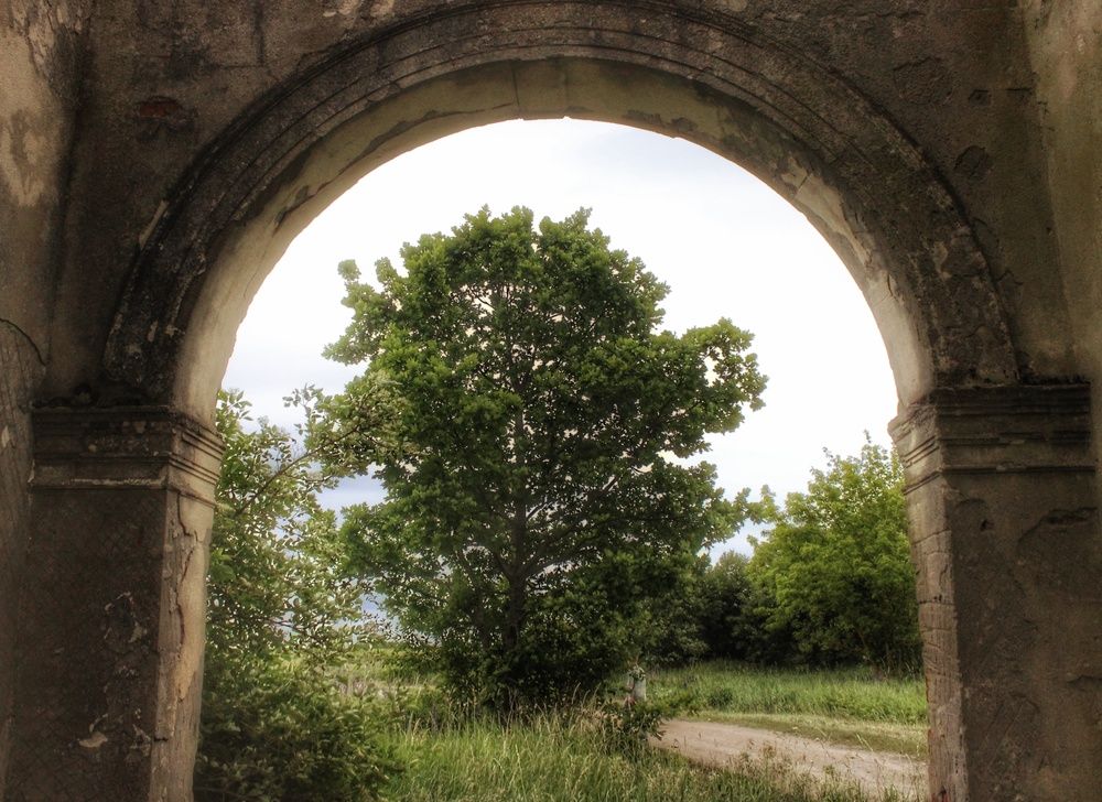 Photograph by Алексей Ершов