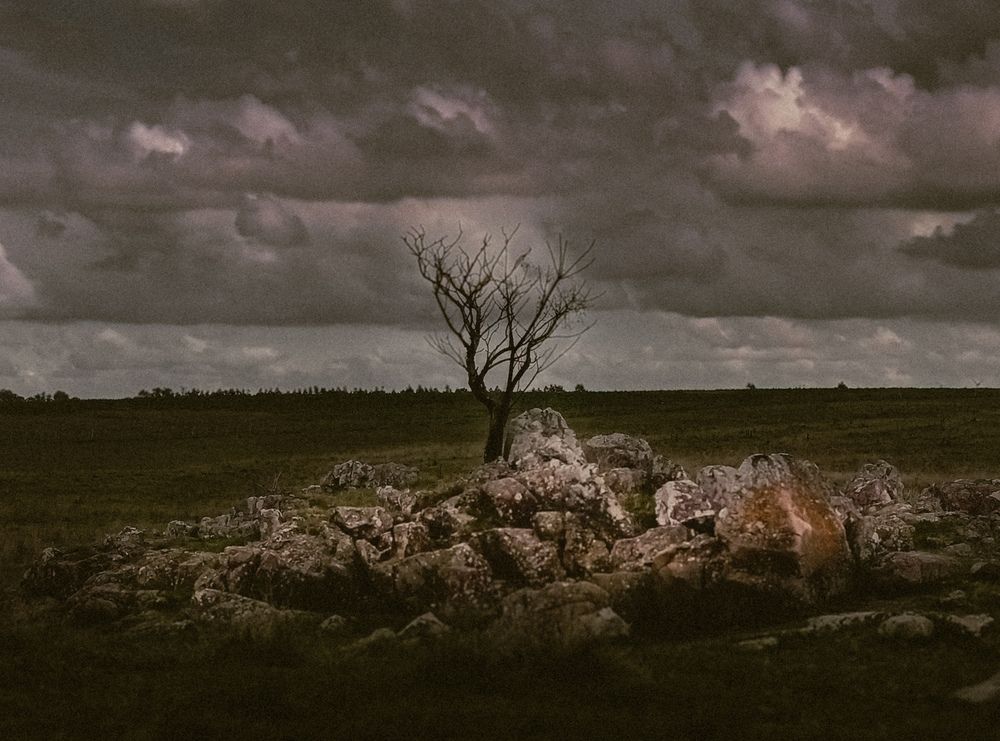 Photograph by Diego Lapasta