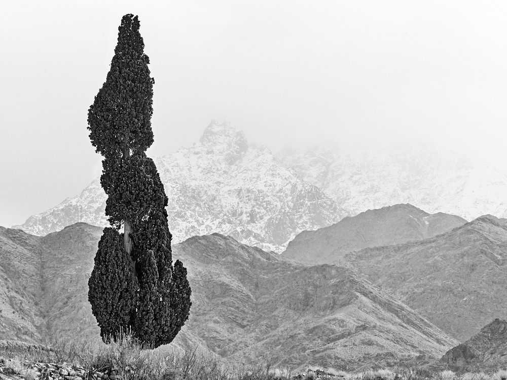 Фотография автора Davoud Naeimi