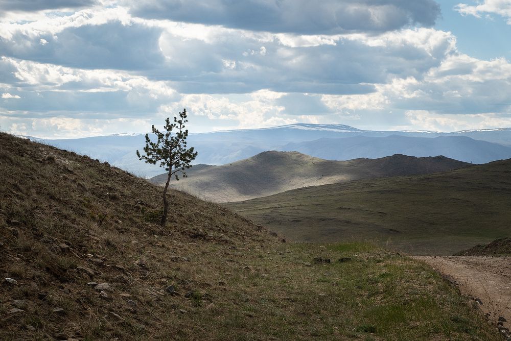 Photograph by Елена Григорович