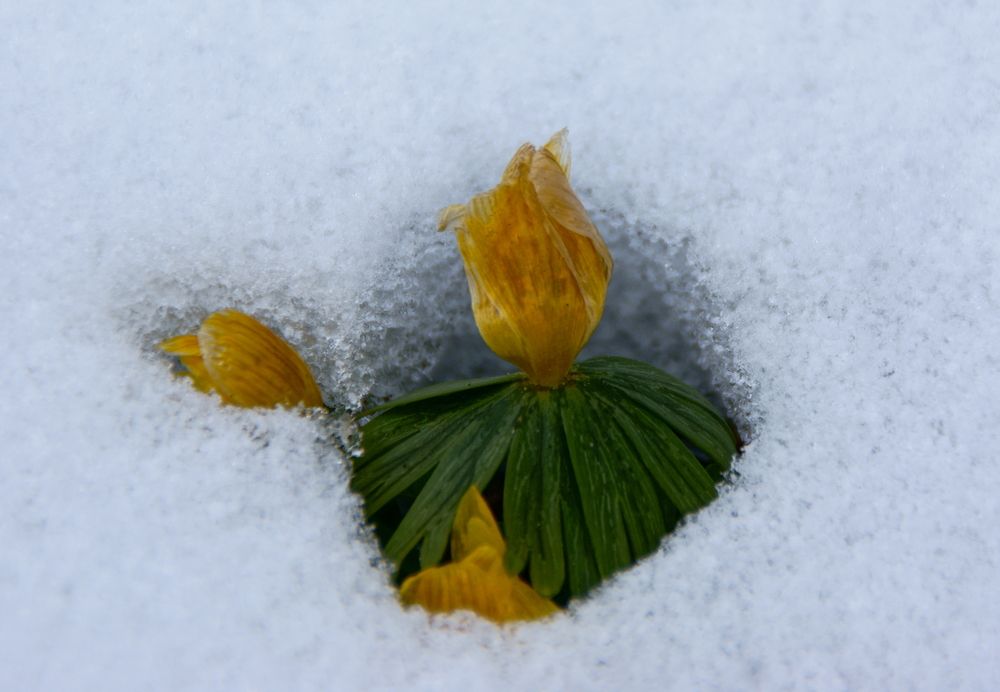 Photograph by Sergej Roor