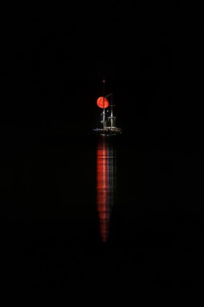 Photograph by Laura Marchetti