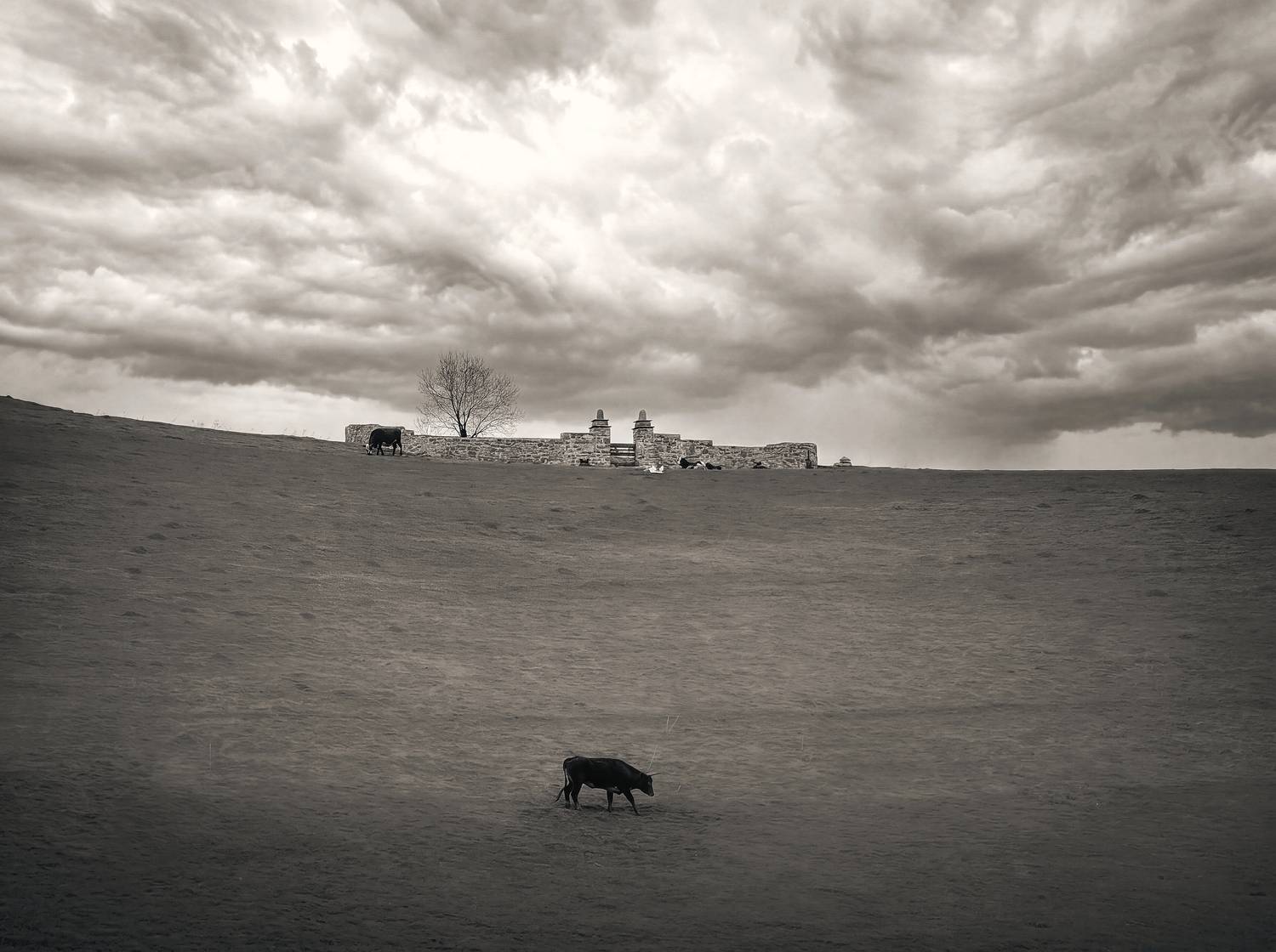 Photo #13655782