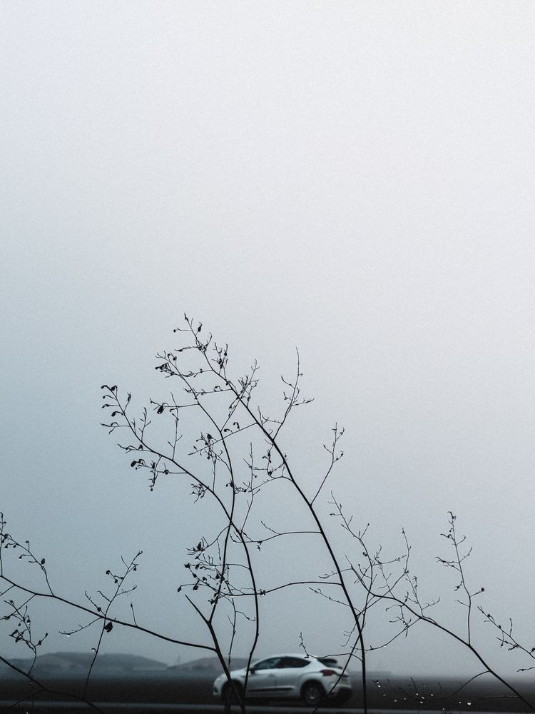 Photograph by Алиса Исаева