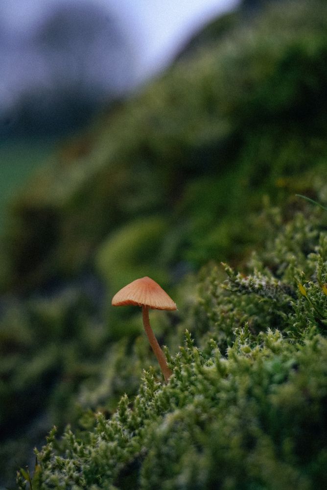 Photograph by Ирина Шауро