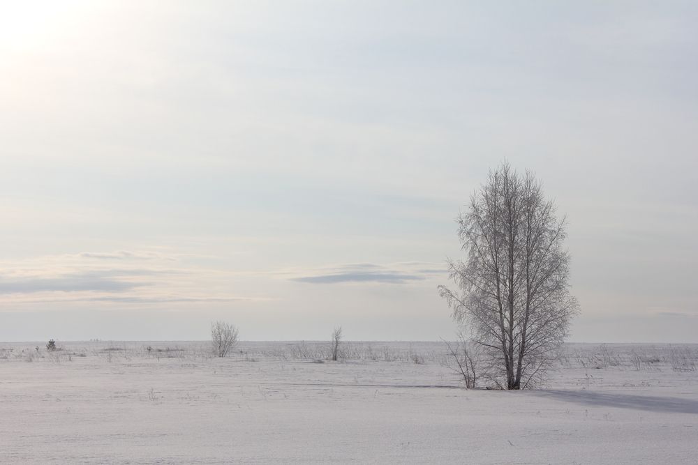 Photo #13655814