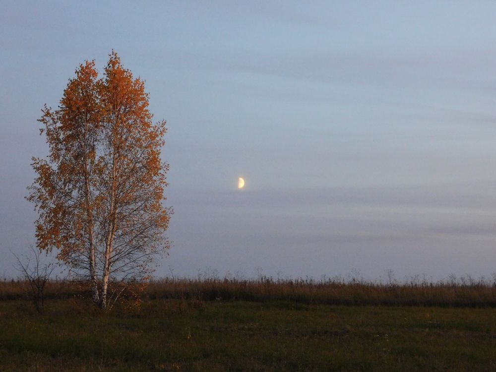 Photograph by Анастасия Коваль
