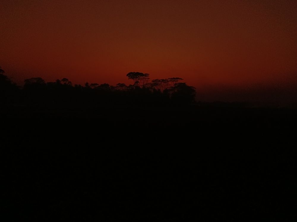 Crimson.