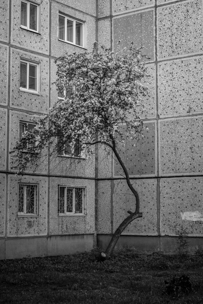 Photo #13655861