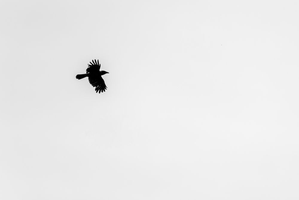 Photograph by Александр Колляков