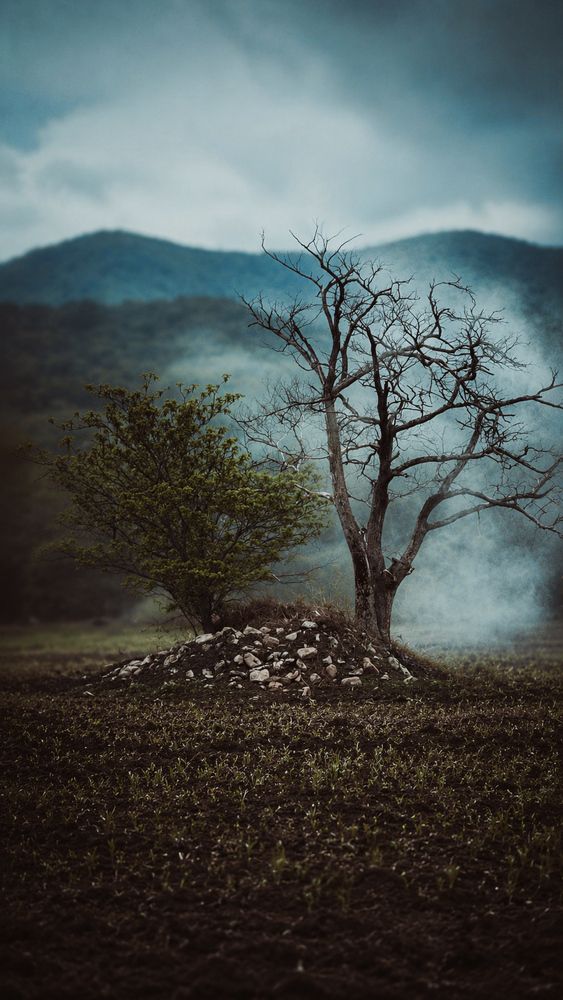 Photograph by Юлия Усольцева