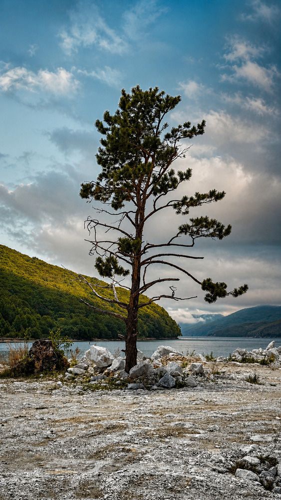 Photograph by Юлия Усольцева