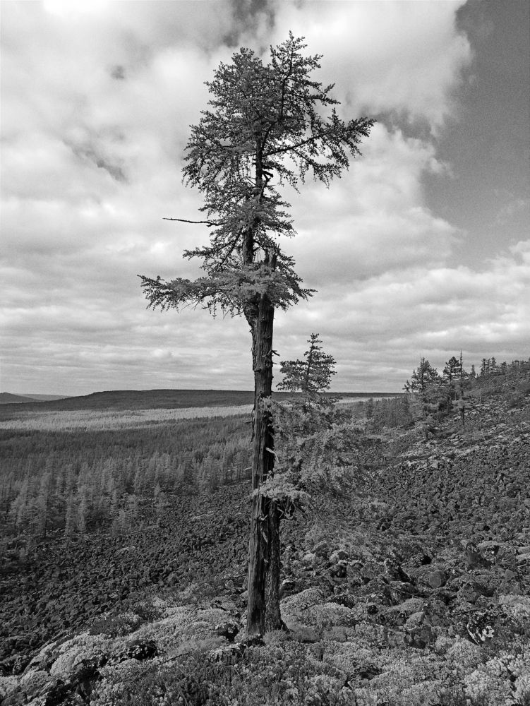 Photograph by Михаил Дронов