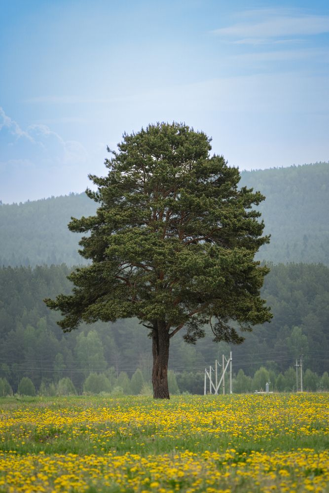 Photograph by Высотских Владимир