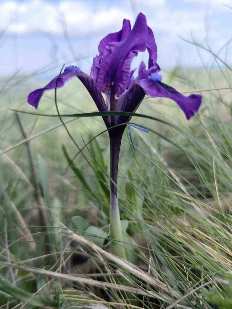 Photograph by Ольга Рыбалова
