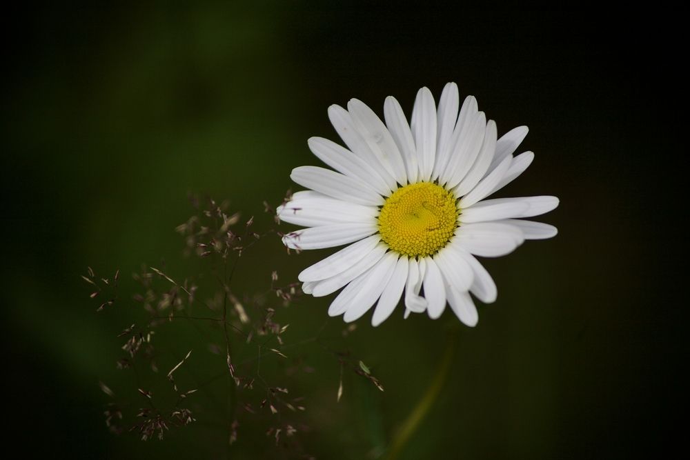 Photograph by Nikolai Osokin