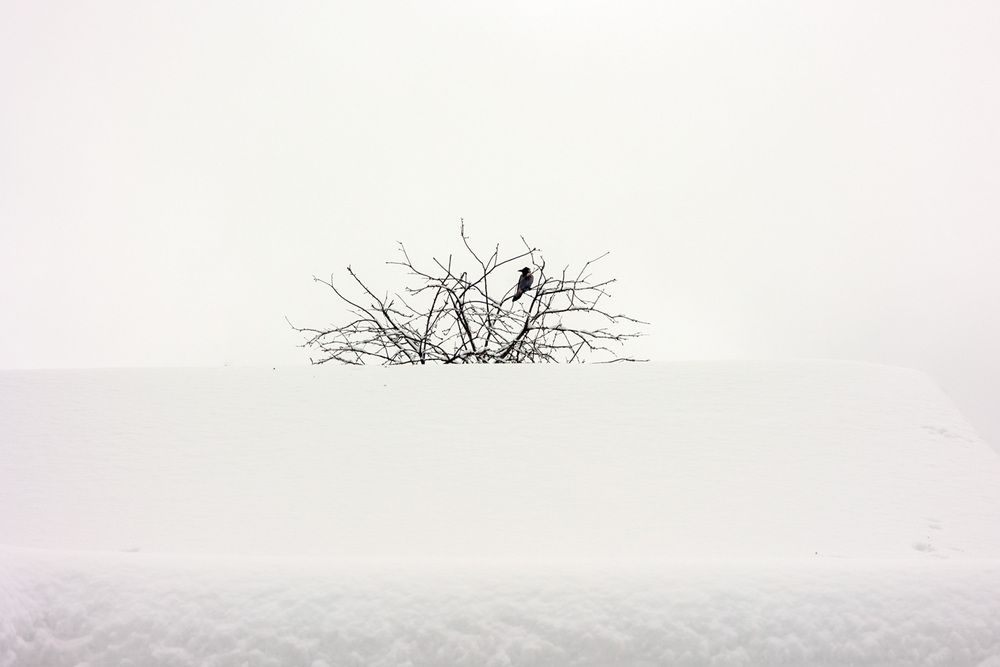 Photograph by Наталья Сафронова