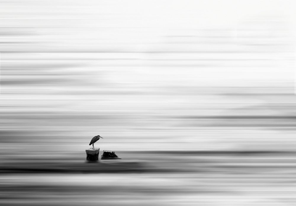 Photograph by محمودرضا نورایی
