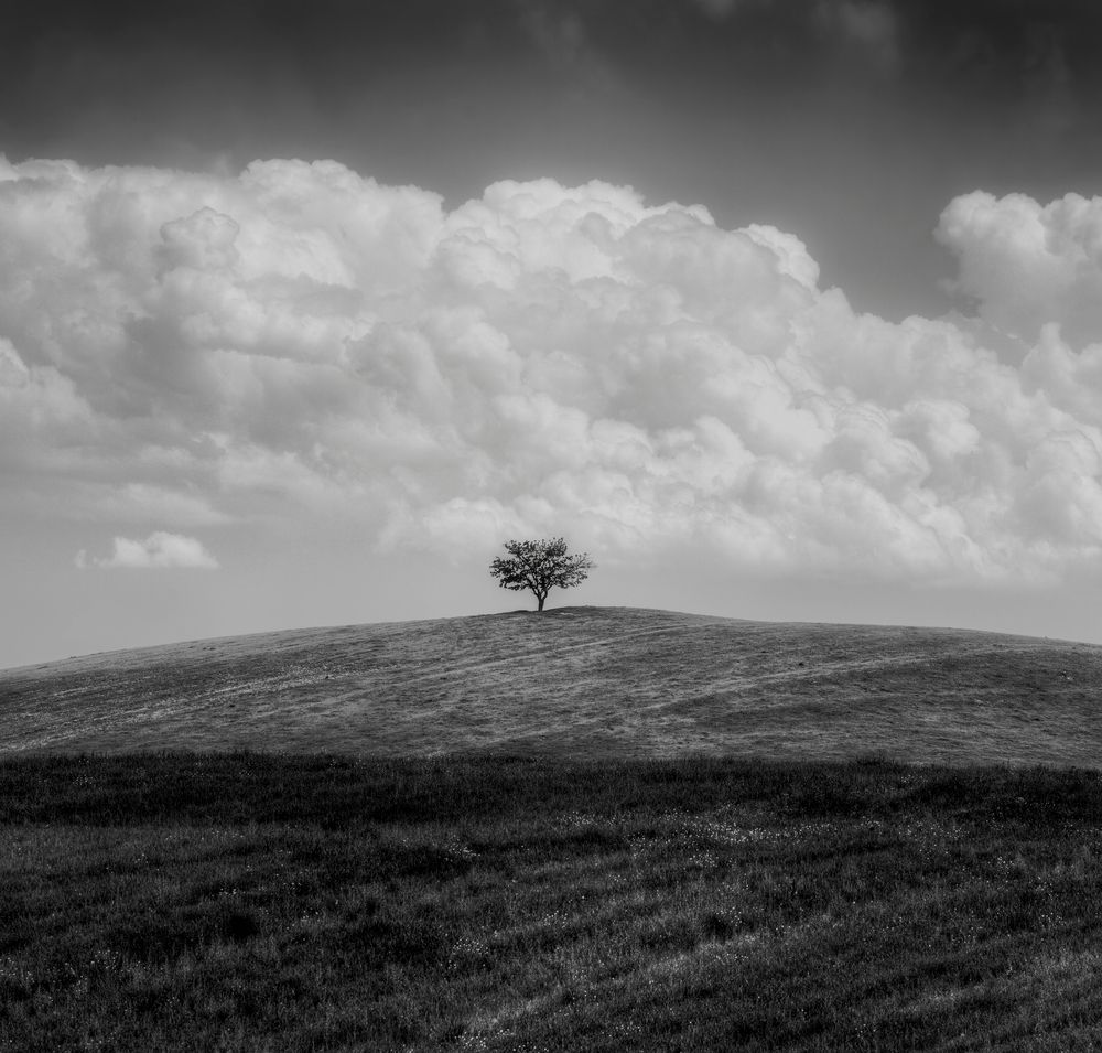 Photograph by Антон Садомов