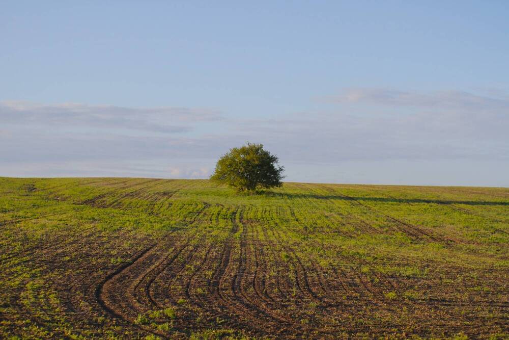 Photograph by Елизавета Мишина