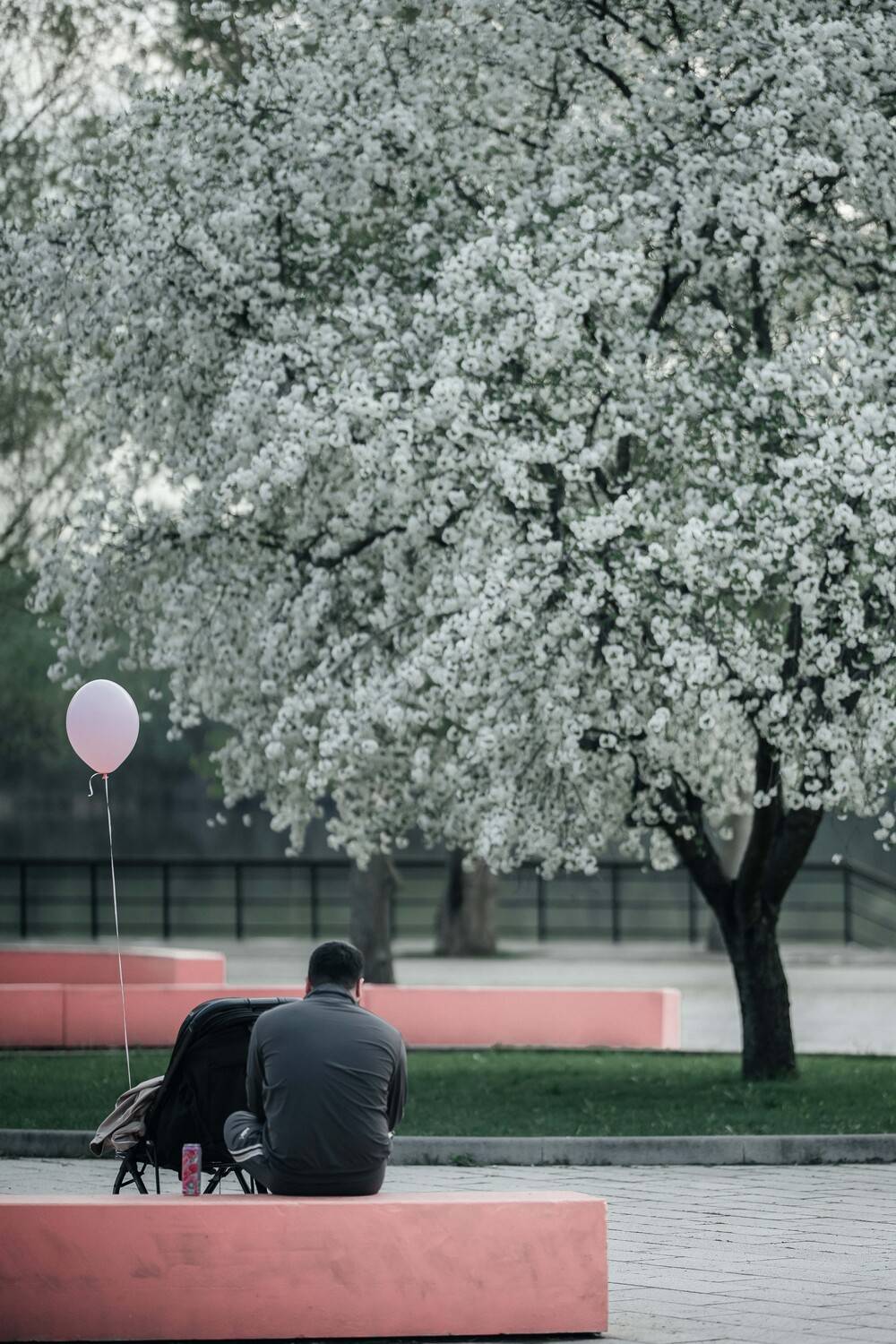 Photo #13656268