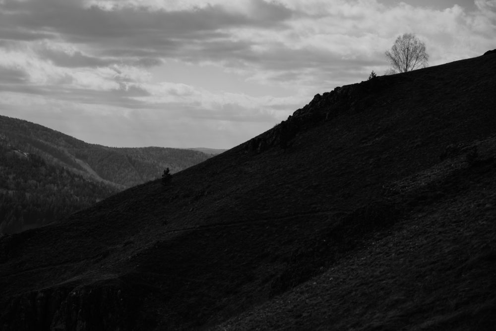 Photograph by Татьяна Лисейцева