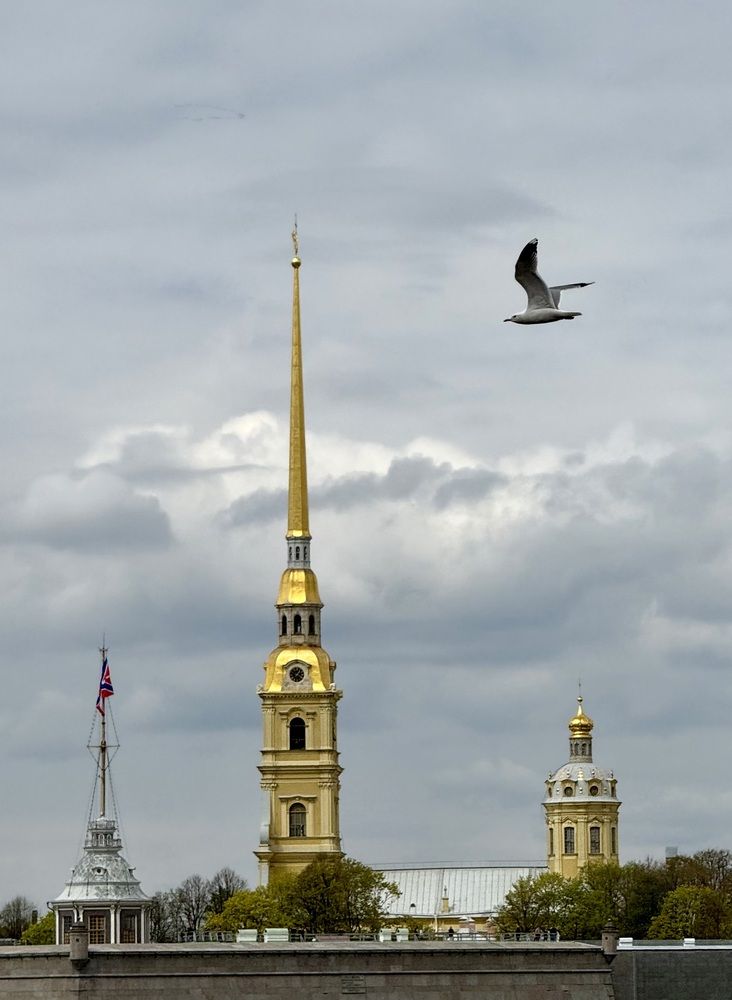 Photograph by Ирина Сорока