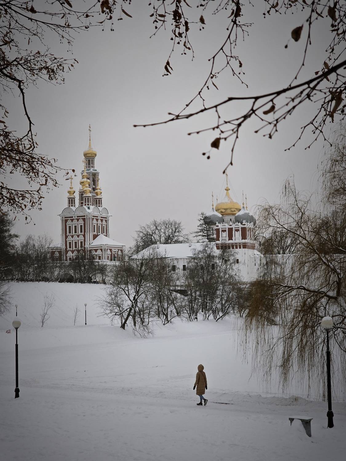 Photo #13656314