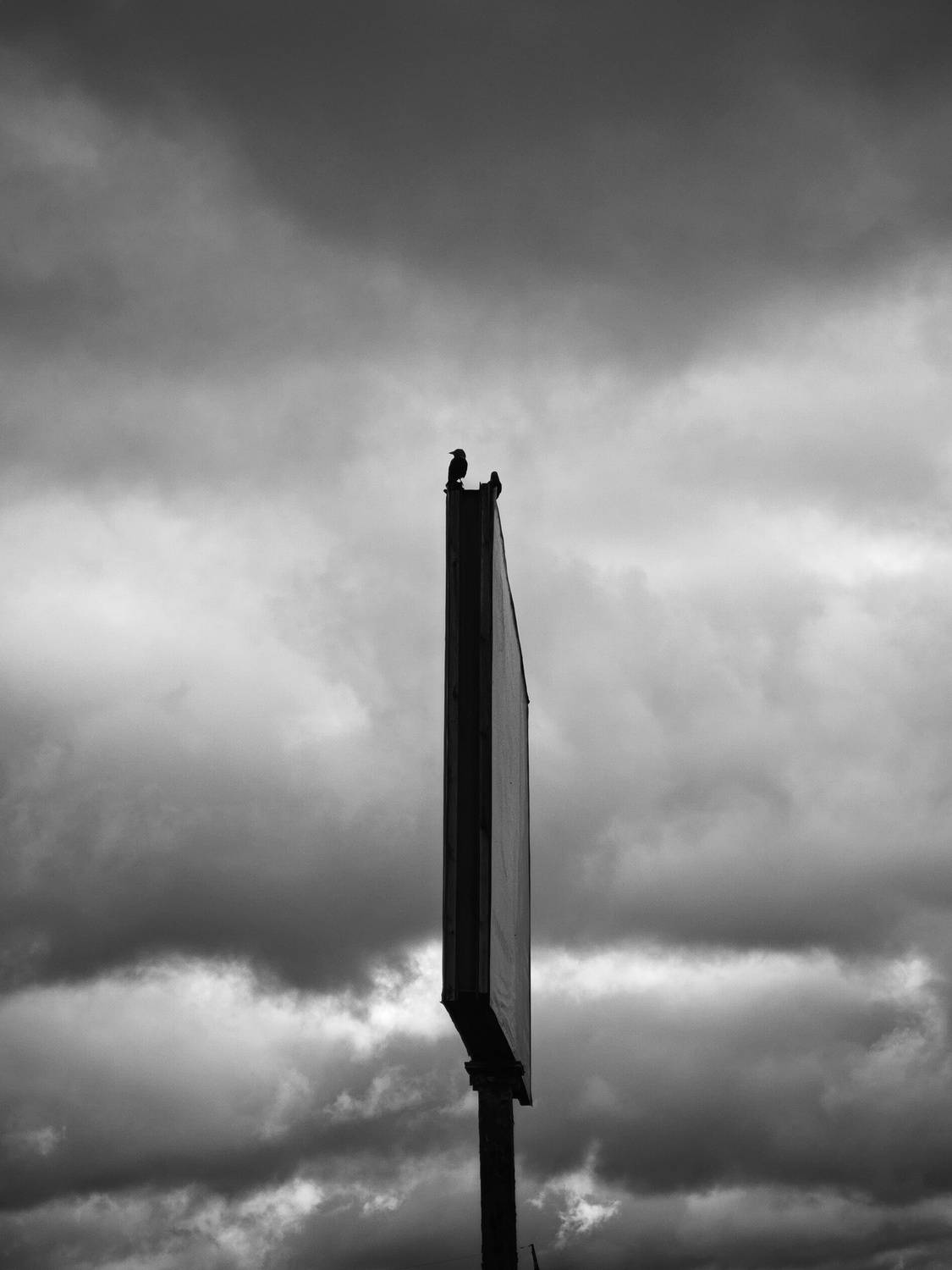 Photo #13656342