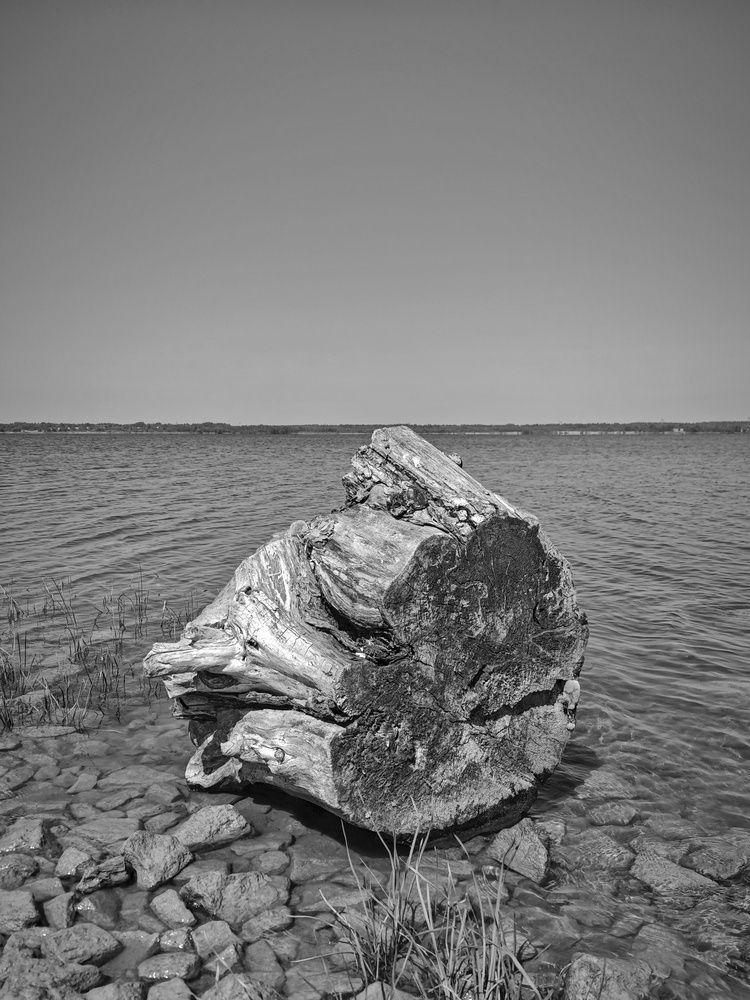 Photograph by Вячеслав Щёголев