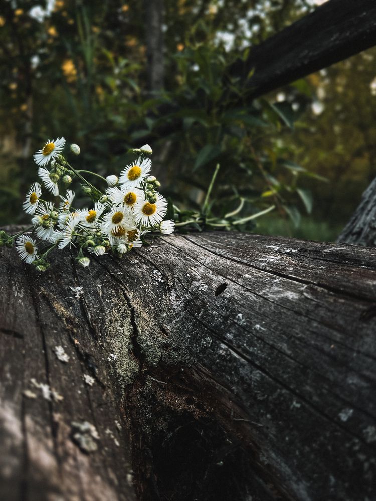 Photograph by Оксана Корепанова