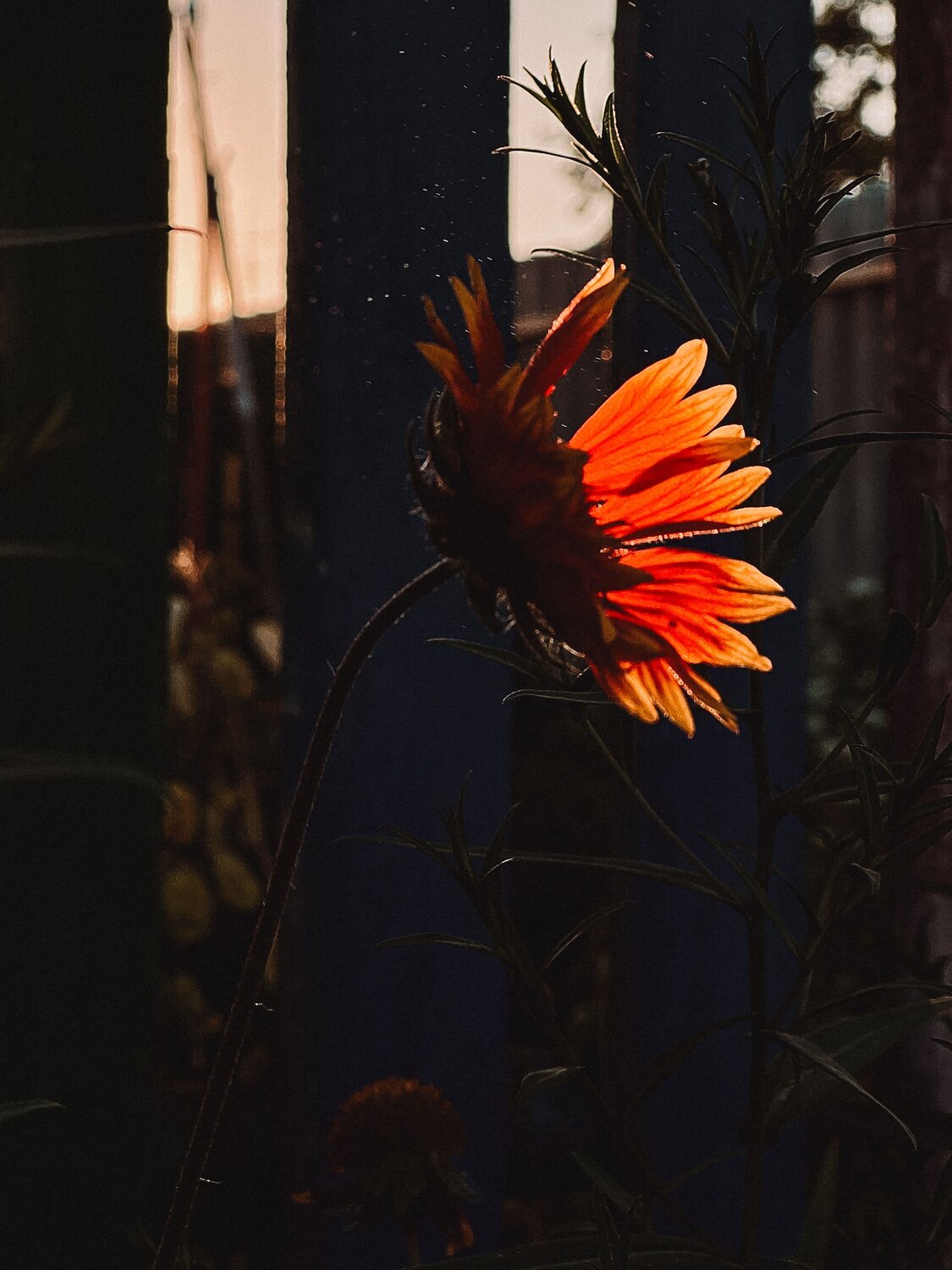 Photo #13656413