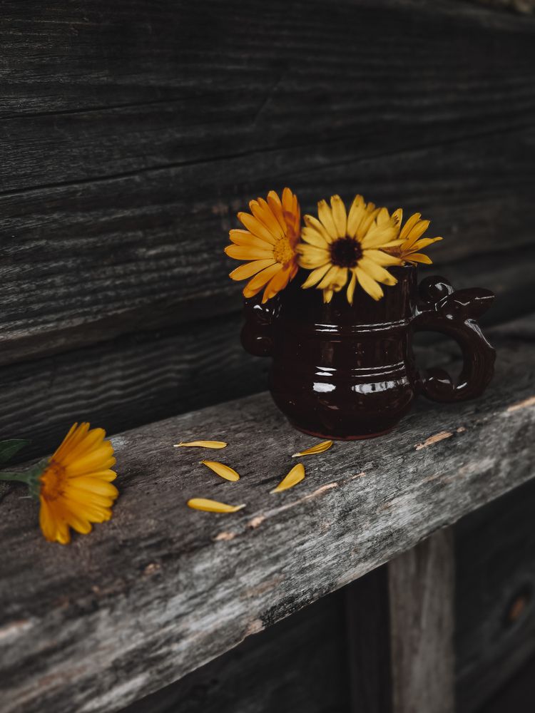 Photograph by Оксана Корепанова