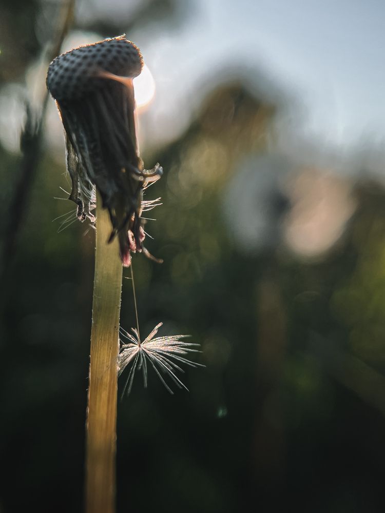 Photograph by Оксана Корепанова