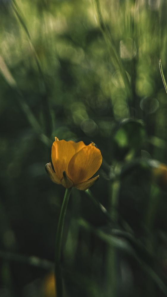 Photograph by Оксана Корепанова