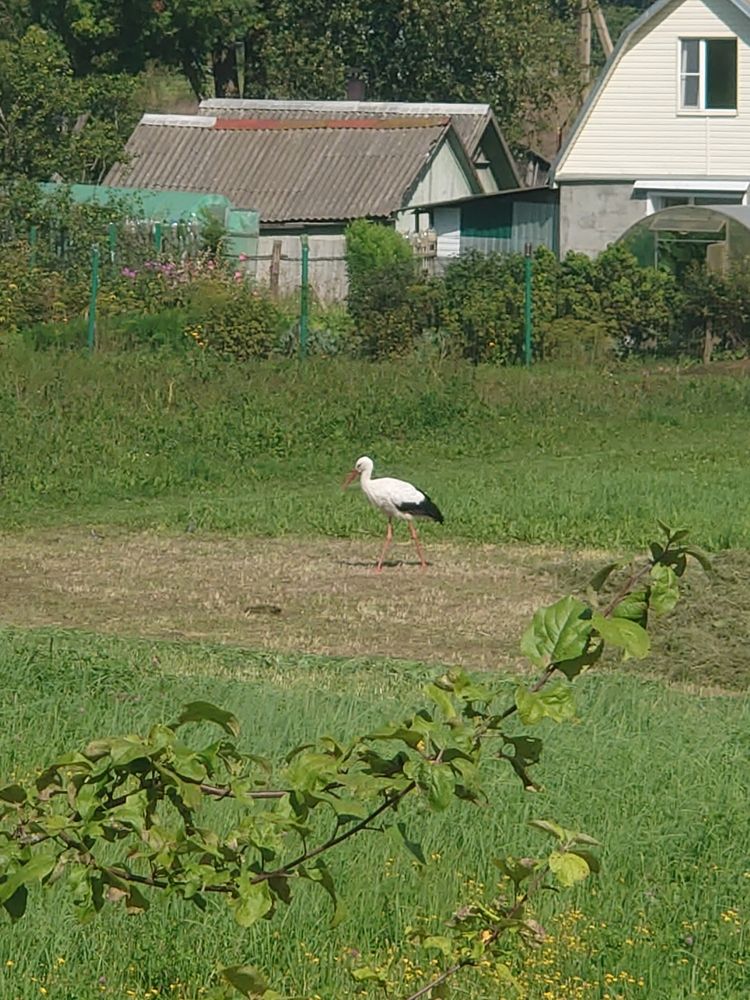 Photograph by Алексей Карчевский