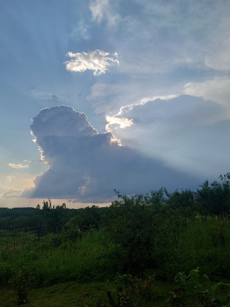 Photograph by Алексей Карчевский