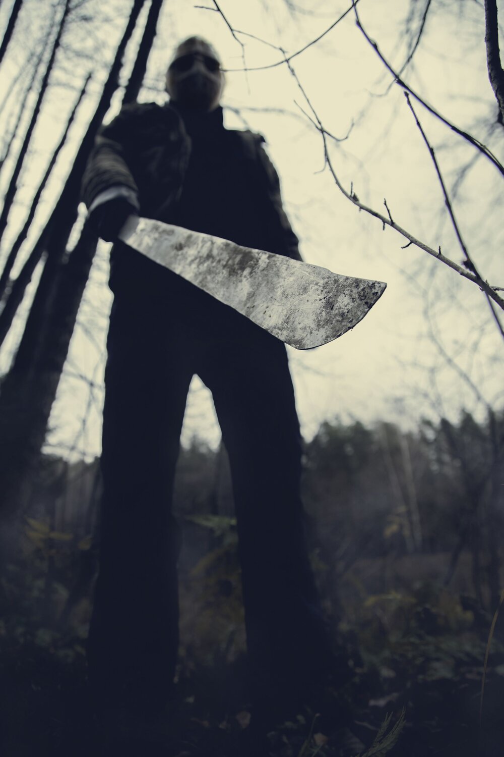 Photo #13656466