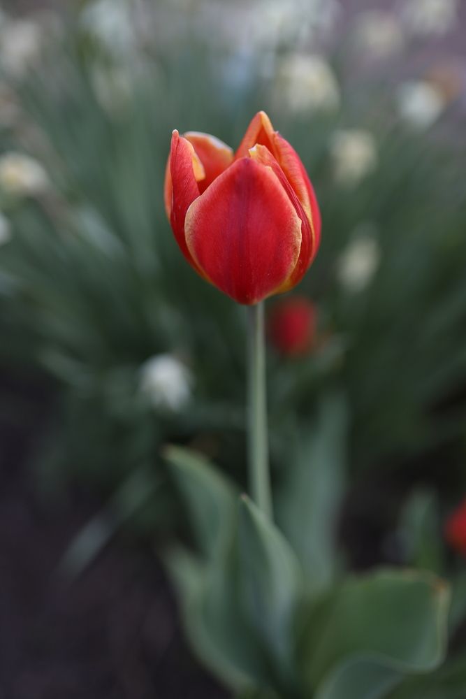 Photograph by Алёна Анфимова