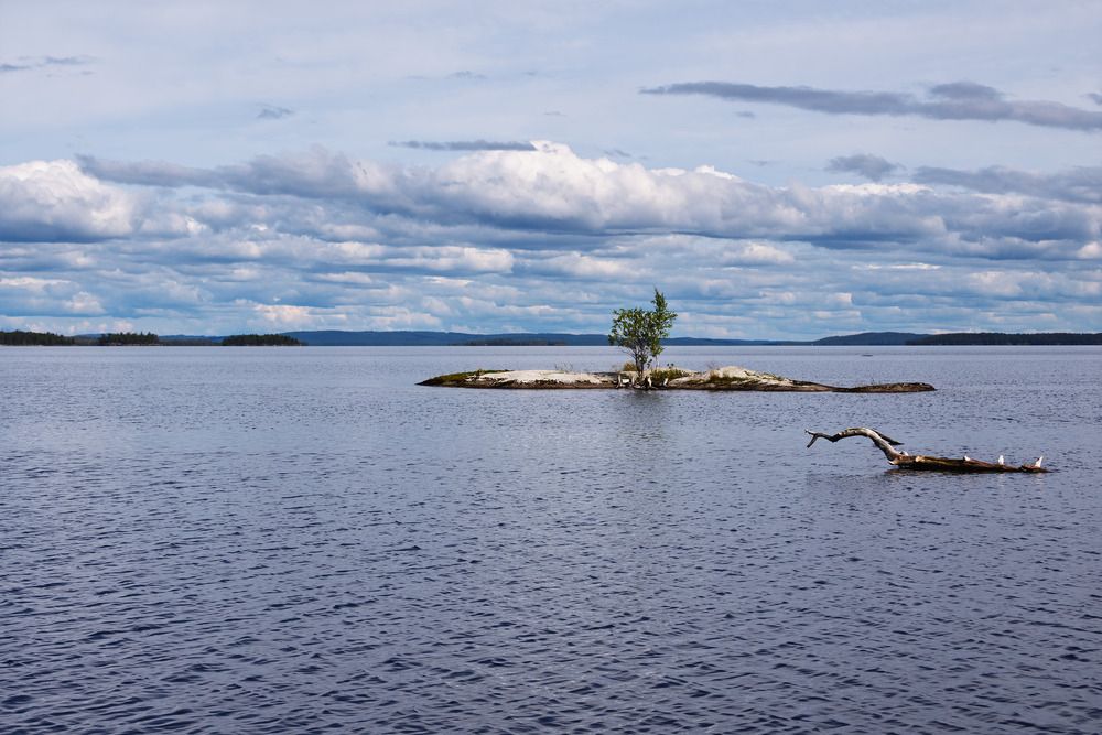 Photograph by Светлана Ващенко