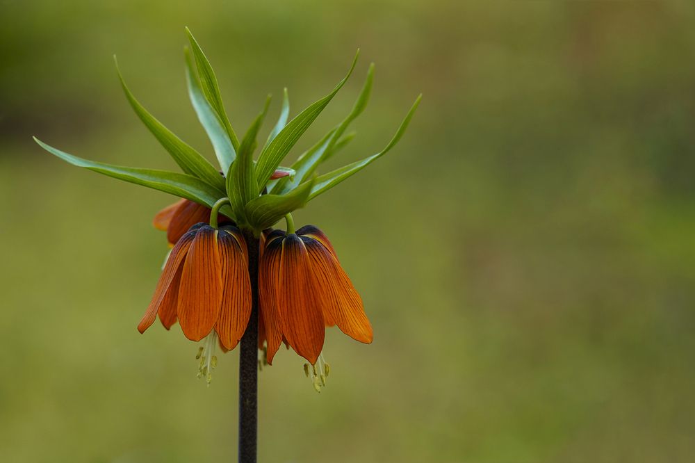 Photograph by Ömer Sarıtas