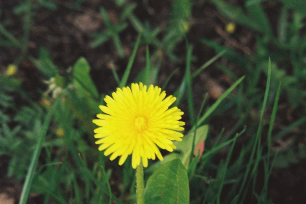 Photograph by Александр Сотниченко