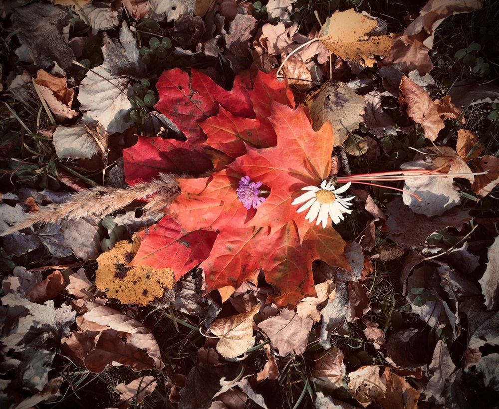 Photograph by Анастасия Бардыкина