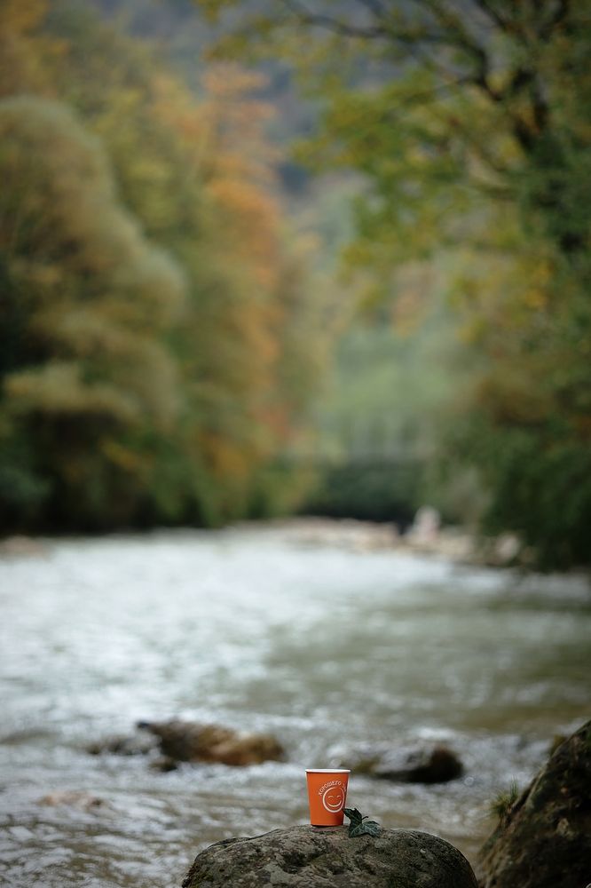 Photograph by Полина Сульженко