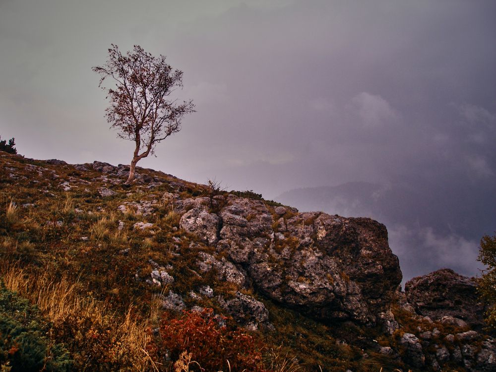 Photograph by Константин Громов