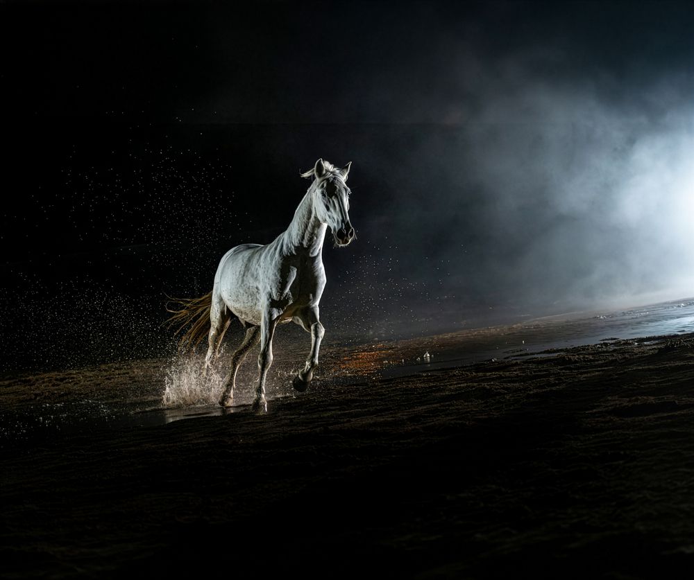 Photograph by Carolina Ek