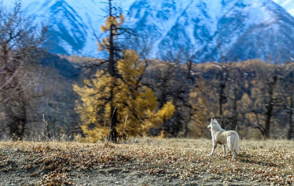 Photograph by Евгения Флиорчук