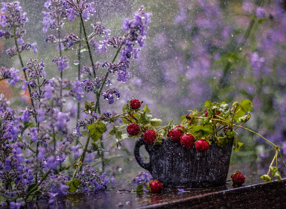 Photograph by Victoria Mogulyan