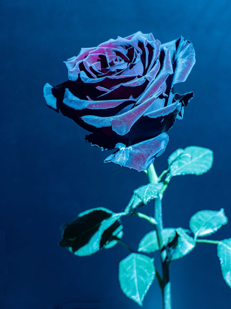 Photograph by Юрий Володин